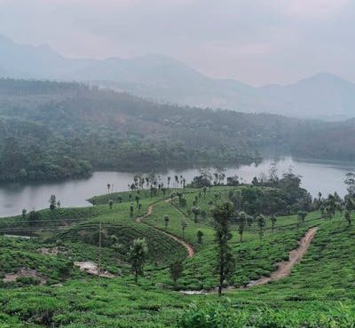 Romantic Escape in the Serene Backwaters