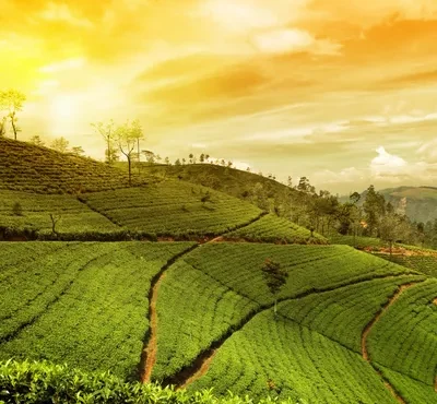 Romantic Escape to the Eastern Himalayas