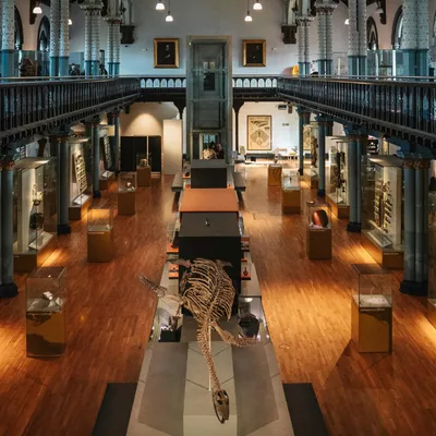 Exhibitions-The-Trip-Company