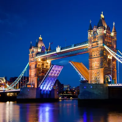 London-MICE-Trip Company