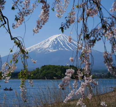 Japan Tour – Discover the Land of the Rising Sun