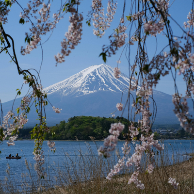 Monunt Fuji - Trip company