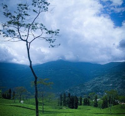 Gangtok & Darjeeling Tour Package