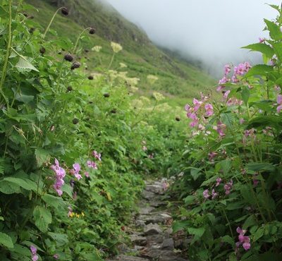 Valley of Flowers & Kedarnath Tour – Nature Meets Spirituality